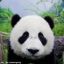 核能机械