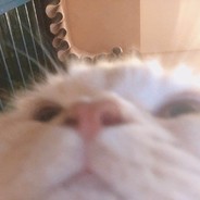 你的小宝贝嘻嘻嘻