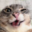 ватафааааак's avatar