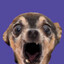 Leip3