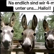 [GER] Marcel volvo