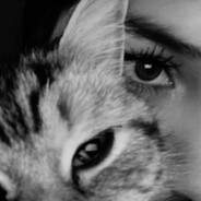 Фифтифифти