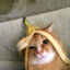 maks)