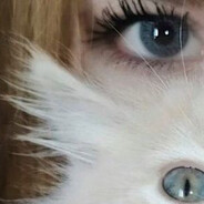 スイスヤー| toyrex