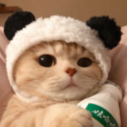 小明有little快乐