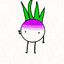Turnip2