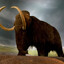 mammoth!?