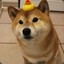 DuckDoge