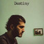 B I G destiny