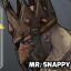 Mr.Snappy