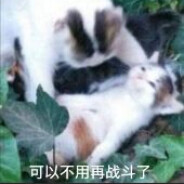 西部五星市民亚瑟摩根