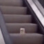 MAYONNAISE ON AN ESCALATOR