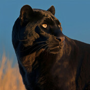 RICA - steam id 76561198259442636