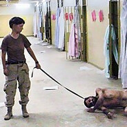 Puppy Play Aficionado