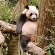 仙风道骨利天尊