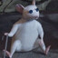 RAT №1