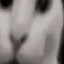 Uebki's avatar