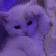 Møøre