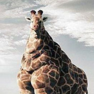 Meaty Giraffe