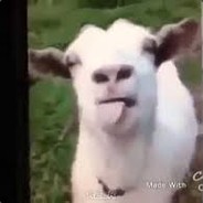 m_