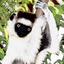 SIFAKA