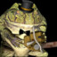 Sapero🐸