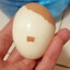 Adolf Eggler