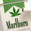 Marlboro  WHITE