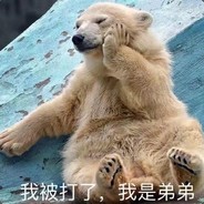 没有老头环我要死了