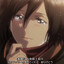 Mikasa