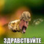 428 км до албании