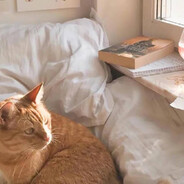 我和豆包之间无话不说但和你却无话可说