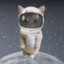 Catstronaut