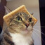 Waffle