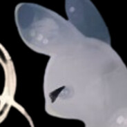 ImUsingAnXboxController (F2P)