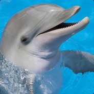 человек простой avatar