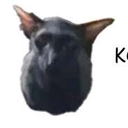 Kotomiler vampirSKINS