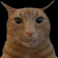 catmeow