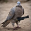 tactical dove