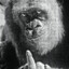zxc GoriLLa
