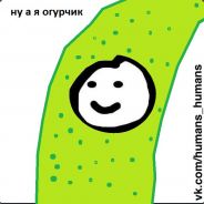 НЕГРИТОСИНА