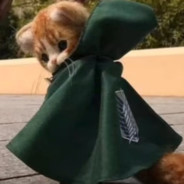 载物的弟弟载楞儿