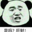 是吗？旺财！