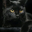 Salem