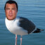 Steven Seagul