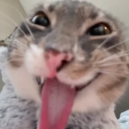 xan