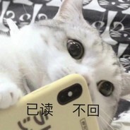 不要再杀星河了owo