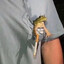 Dart Devourer