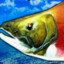 Salmon