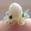 Baby Octopus